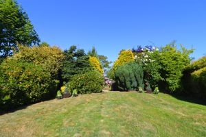 Photo 23- click for photo gallery